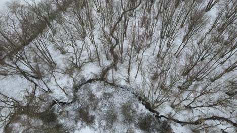 Spärliche-Waldwaldbäume,-Die-Sich-Im-Winter-über-Der-Drohne-4k-Um-Starken-Wind-Bewegen