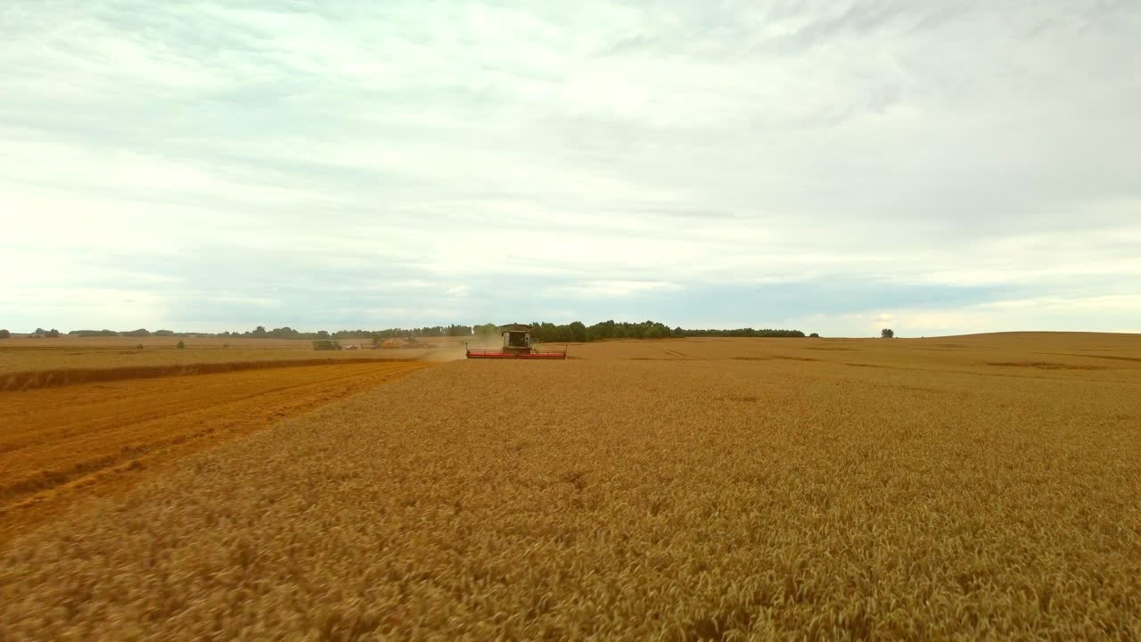 Combine Harvester In Operation During Summer Drone Point Of View
