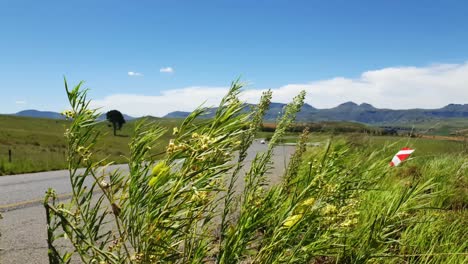 R711-road-outside-Clarens-town-in-Free-state-province-South-Africa-with-cars-and-motorbike-traffic-traveling-past-on-vacation-in-Moluti-Mountains