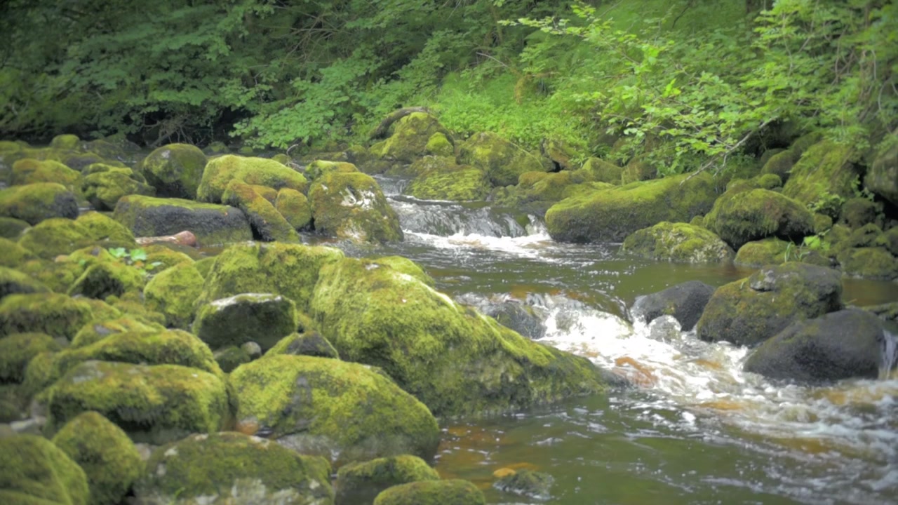 İrlanda'nın Donegal kentindeki Claddagh Nehri'nde, sağa doğru kameraya doğru akan suyun ağır çekim görüntüsü.