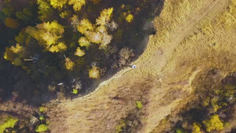 la cámara gira por encima de la novia en la colina con hierba amarilla