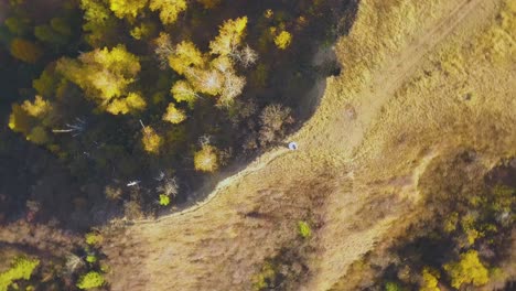 camera turns around above bride on hill with yellow grass