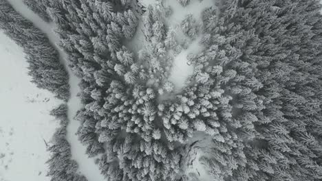 Vista-Panorámica,-Hermoso-Paisaje-Alpino-De-Invierno,-Idaho,-Estados-Unidos