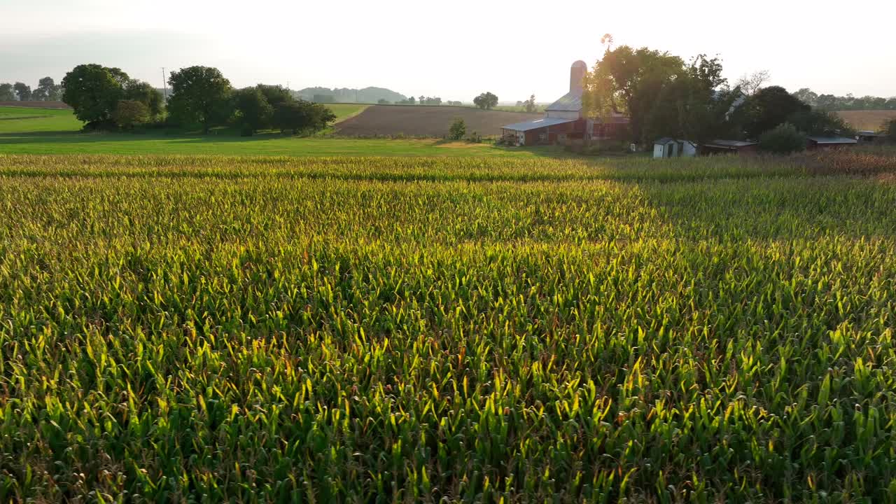 Rural family farm scene in midwestern USA