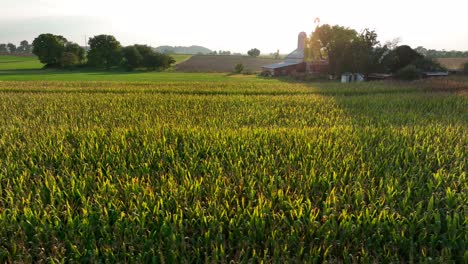 Escena-De-La-Granja-Familiar-Rural-En-El-Medio-Oeste-De-Estados-Unidos