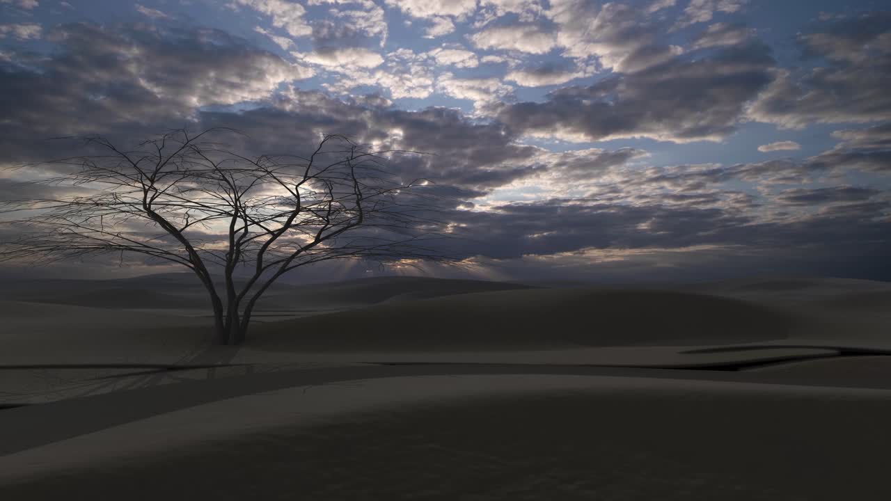 Desert Sunrise/Sunset with Bare Tree