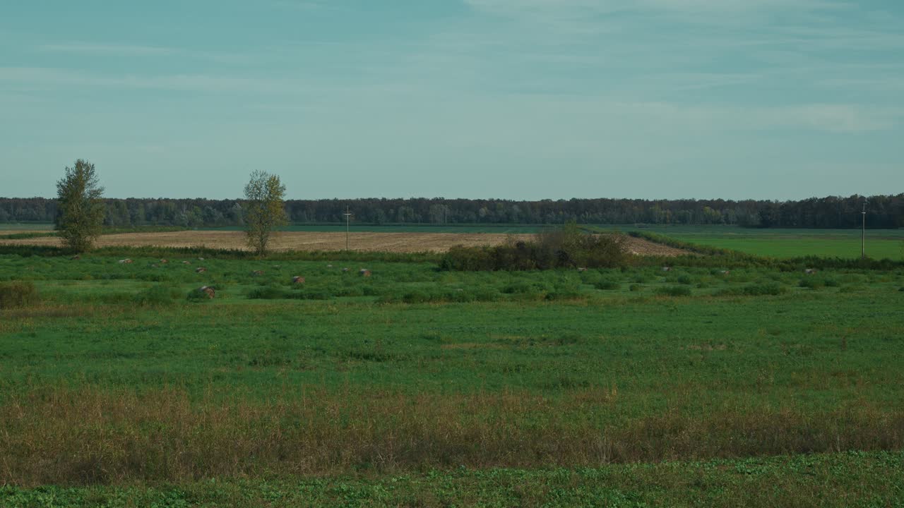 Expansive countryside with green and golden fields under a blue sky
