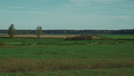 expansive countryside with green and golden fields under a blue sky