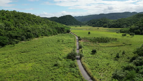 Paisaje-De-Montaña-Con-Selva-Tropical,-Vista-Aérea