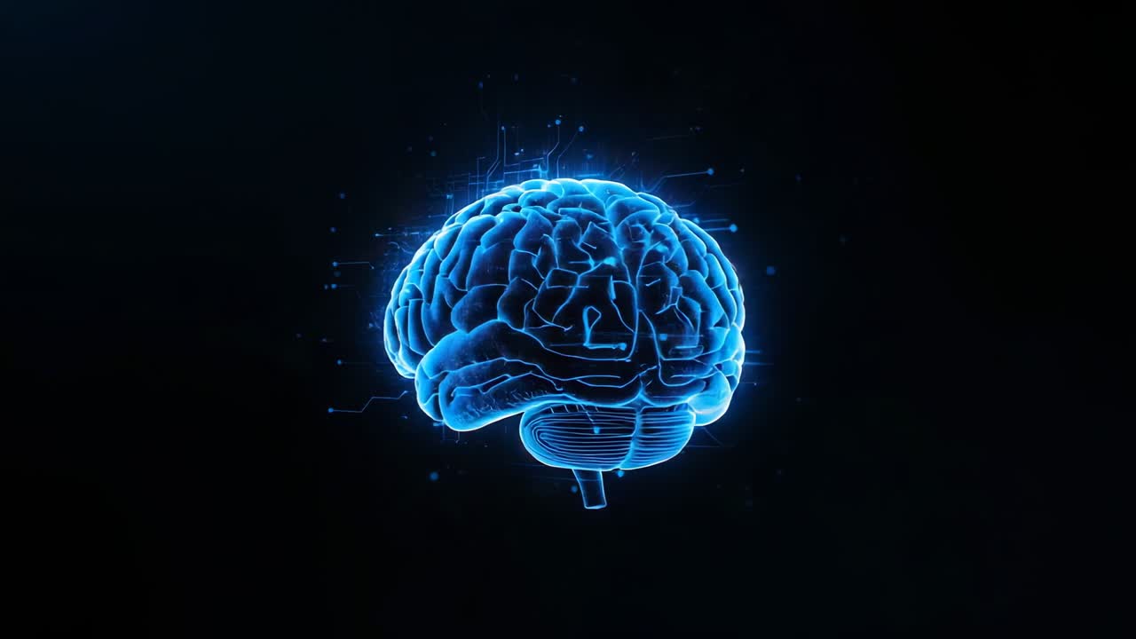 After node pulse, rotating digital brain revealing lobes in void, glowing lines and pulsing nodes