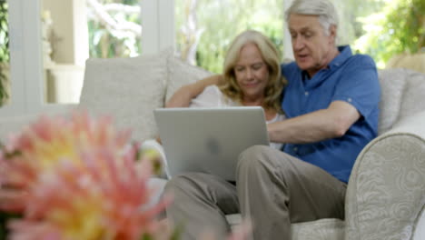 senior couple using laptop