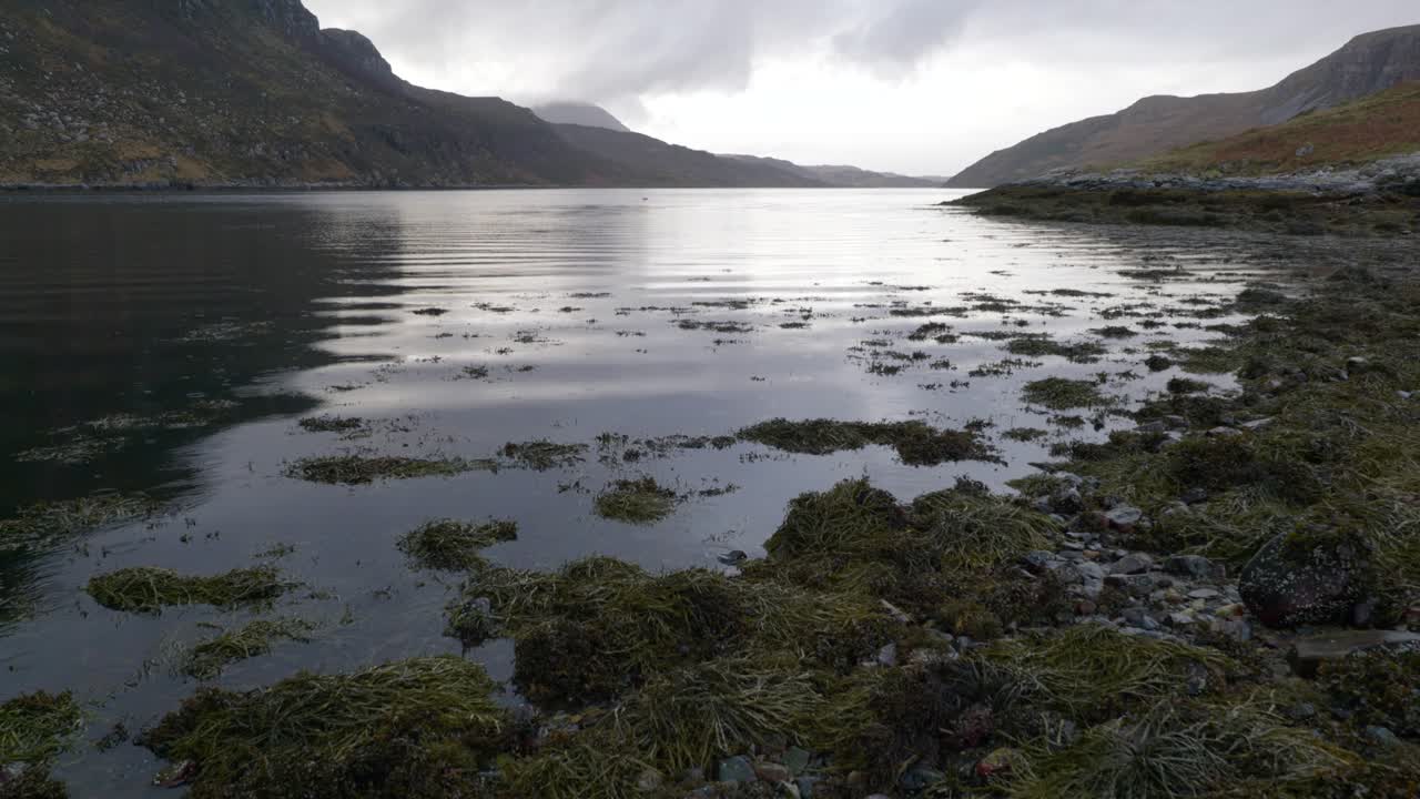 una cámara se inclina para revelar la lluvia que cae sobre la superficie de un lago marino en escocia mientras las olas rítmicas lamen suavemente una costa rocosa y rocas cubiertas de algas