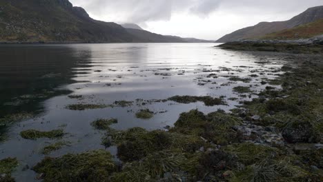 A-camera-tilts-to-reveal-rain-falling-on-the-surface-of-a-sea-loch-in-Scotland-while-rhythmic-waves-gently-lap-a-rocky-shore-and-rocks-covered-in-seaweed