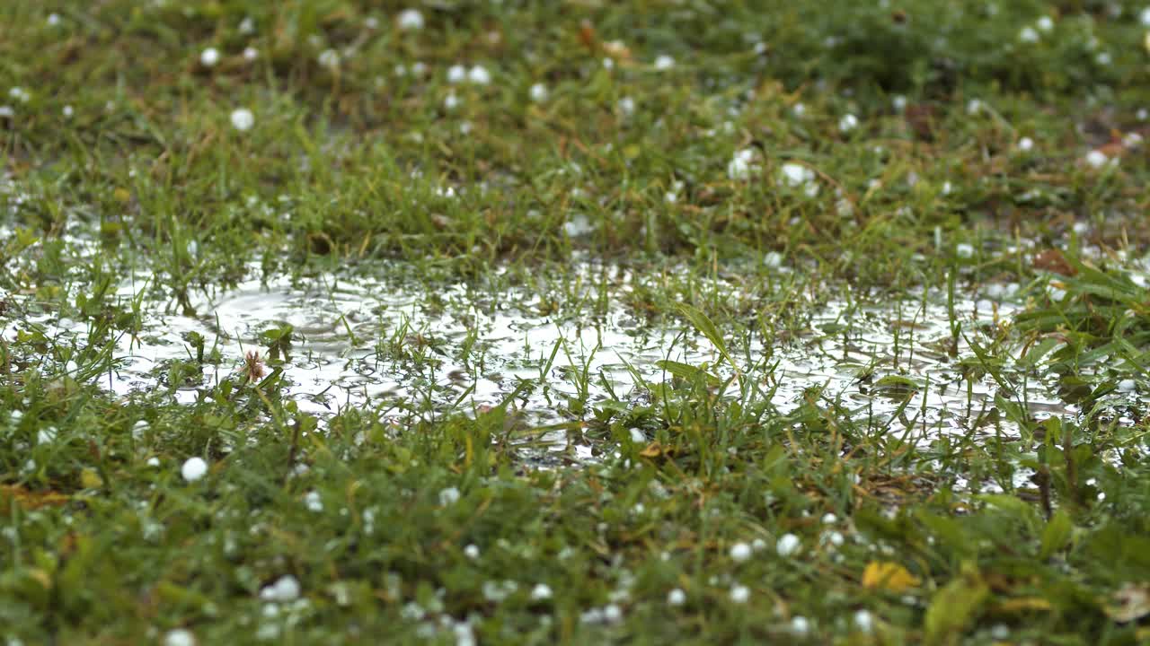 잔디에 떨어지는 우박 곡물을 닫습니다