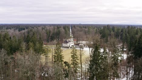 drone flight backwards over a green forest with the alp mountains at the horizon, started at a lonely, single house in the middle of a wide forest landscape