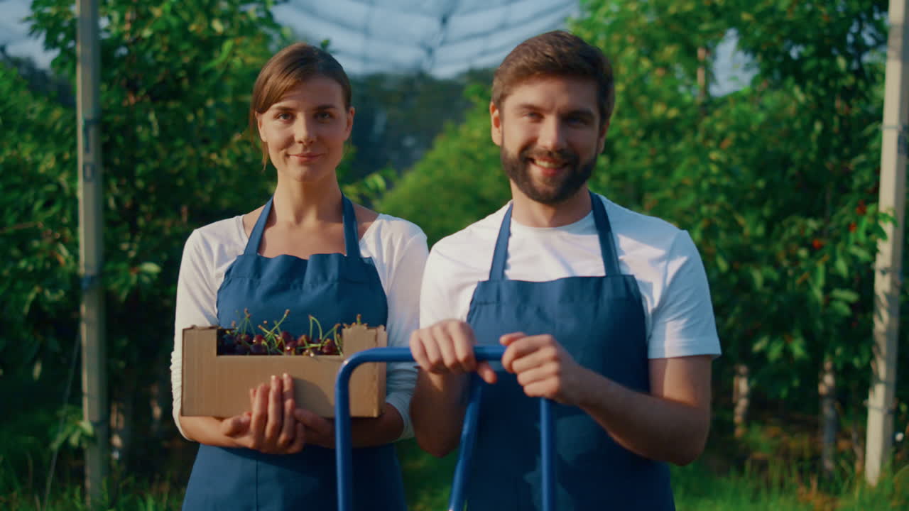 Dwóch agronomów pokazujących skrzynkę wiśni na tle ekologicznej farmy.