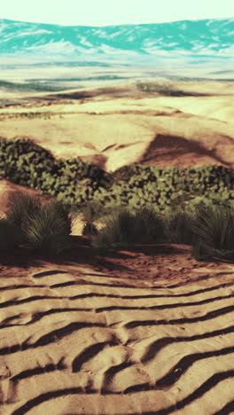 paisaje desértico