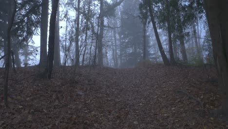 walking up hill to foggy overlook