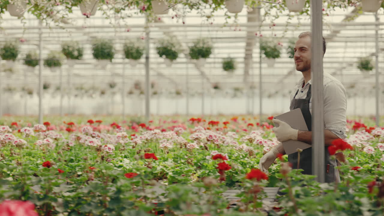 Agronomo che ispeziona i fiori in una serra commerciale.