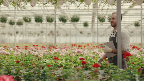 agronomist inspecting flowers in a commercial greenhouse