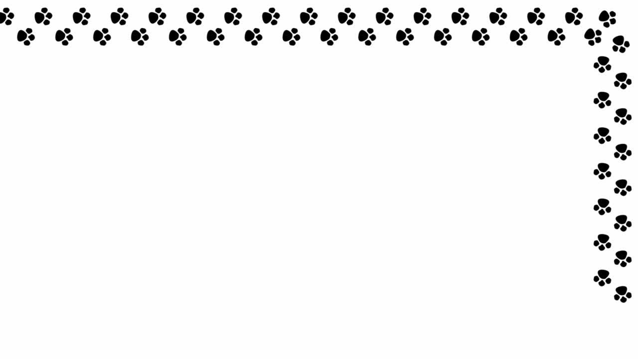 Animated video of animal footprints surrounding the screen on a white background