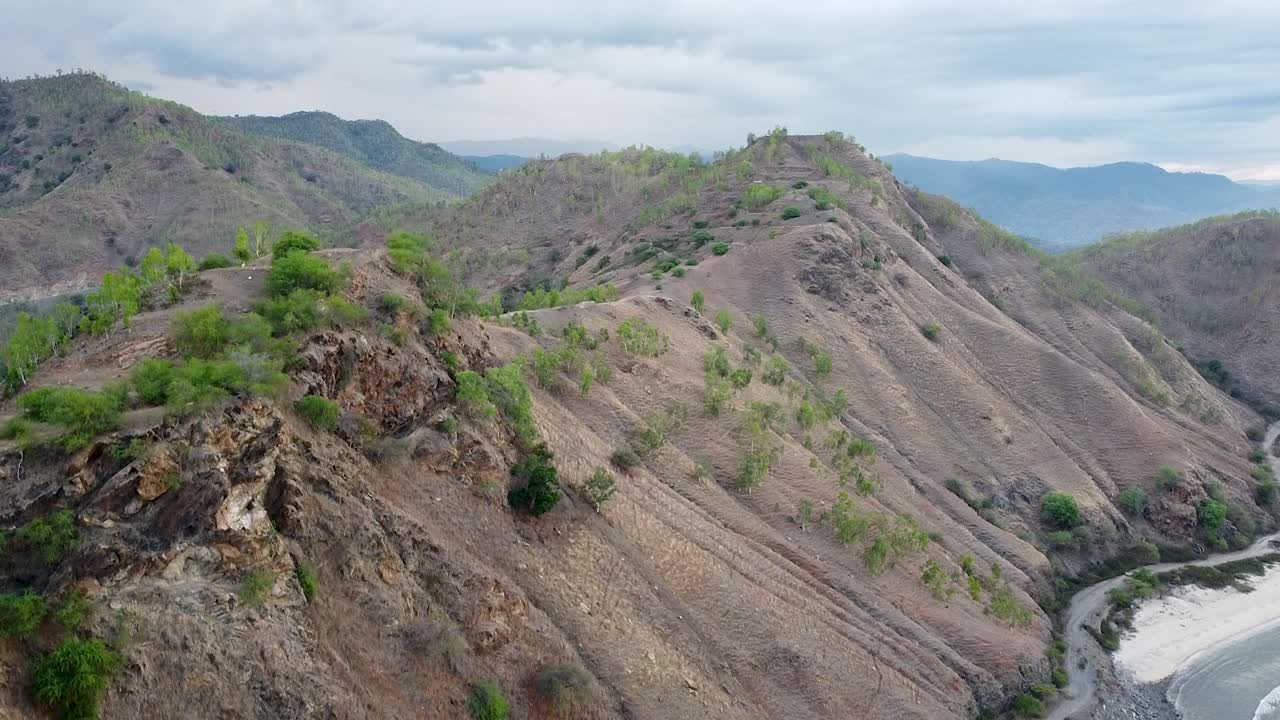 una dispersión de árboles verdes en la colina y el paisaje montañoso durante la estación seca en timor leste, sudeste de asia
