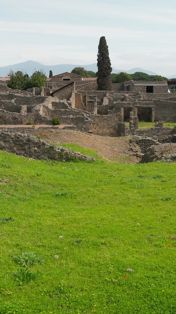Ampia vista verticale di un primo piano erboso che conduce alle rovine di Pompei, con antichi resti in pietra, un cipresso e montagne distanti oltre il sito archeologico.