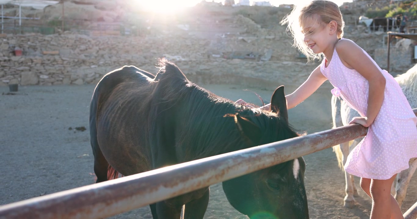 Menina pequena acariciando gentilmente um cavalo em um piquete ensolarado.
