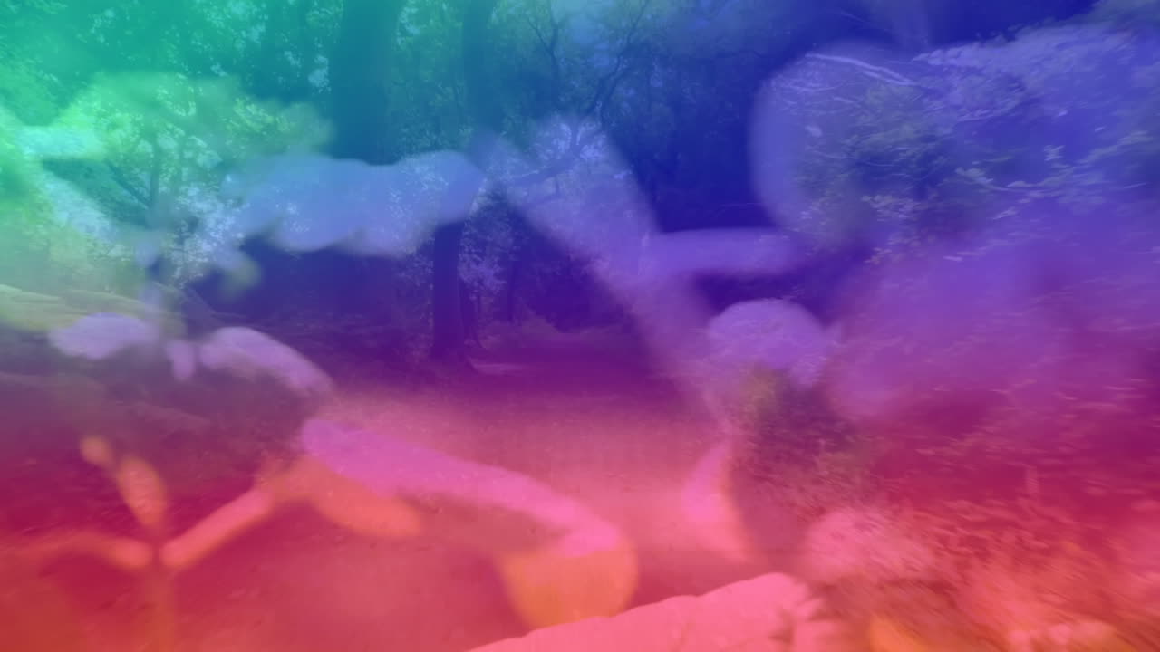 숲과 꽃 위에 다채로운 빛의 애니메이션