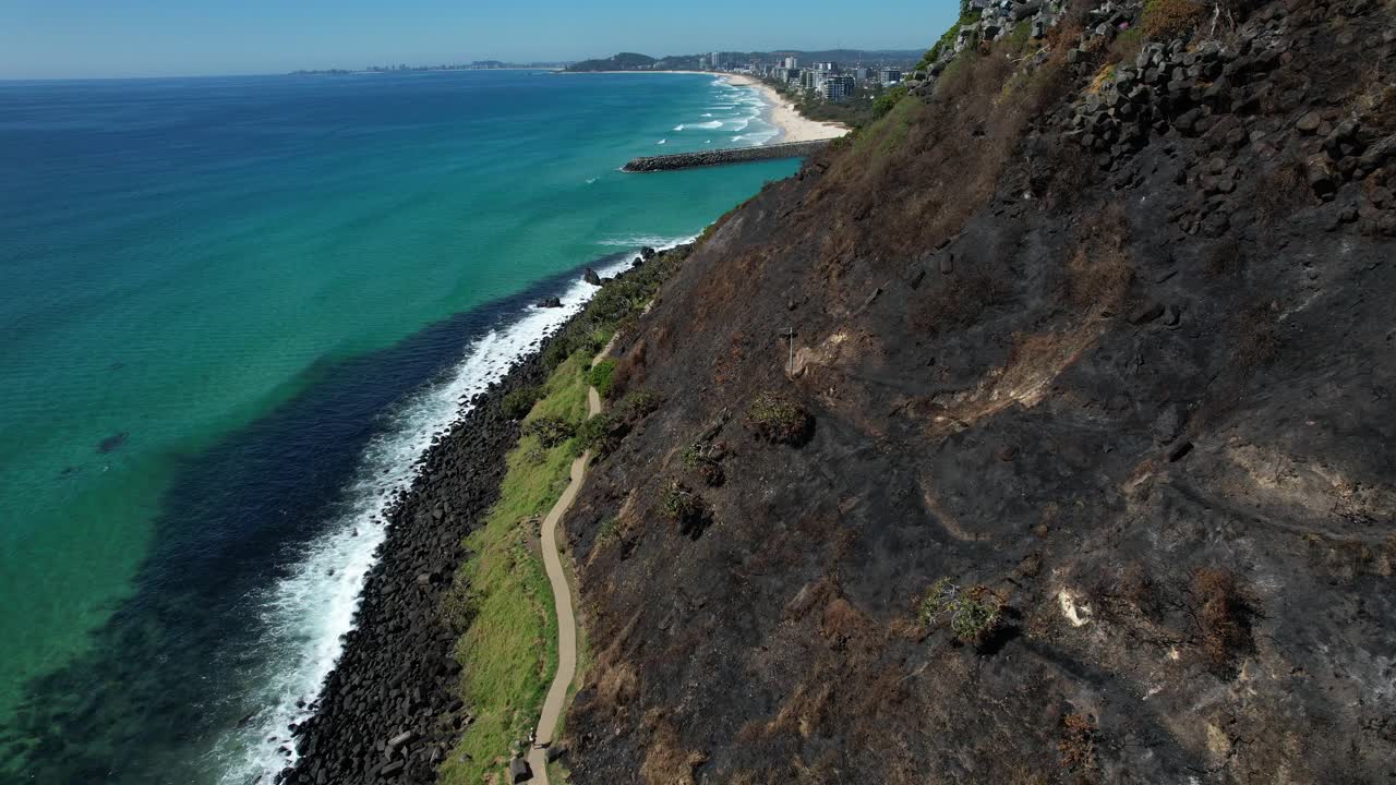 Burleigh Head National Park Burned Rainforest In Burleigh Heads Near Tallebudgera Creek On The Gold Coast, Queensland, Australia. Aerial Drone Shot