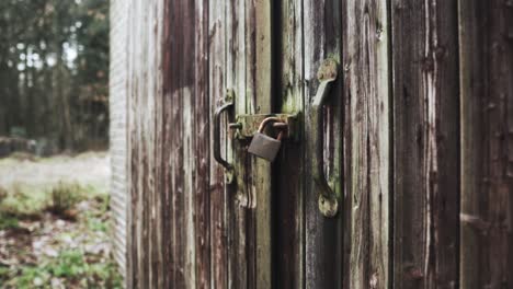 old wooden door with rusty lock in forest