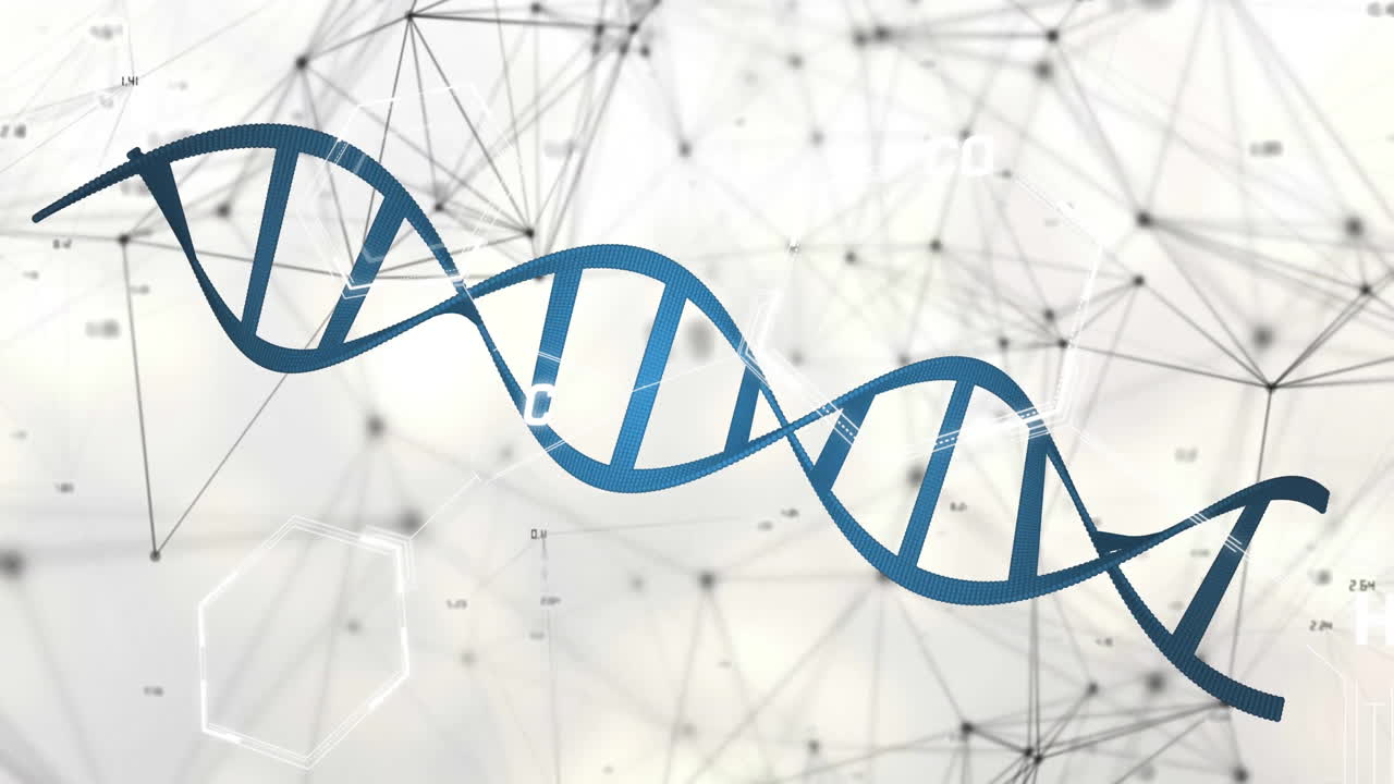 Animazione di rete di connessioni e filamento di DNA su sfondo bianco