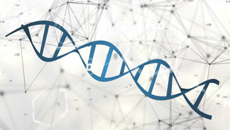 animation of network of connections and dna strand on white background