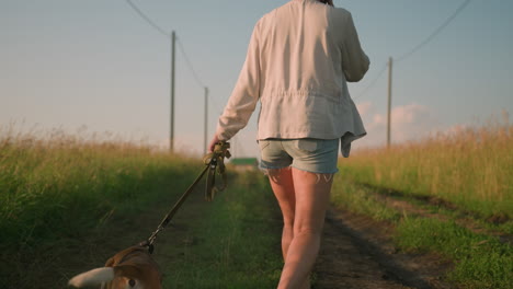 back view of dog owner talking on phone while walking with dog on dirt path lined with electric poles, holding leash while both stroll through grassy rural field under bright sunlight