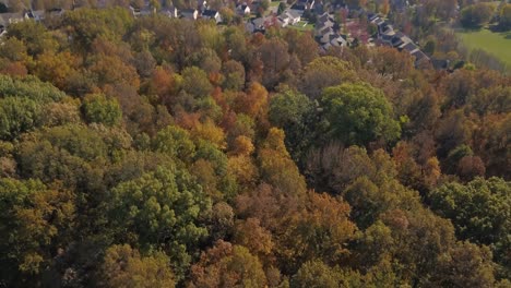 árboles-De-Otoño-Y-Otoño-En-Los-Suburbios-Del-Medio-Oeste