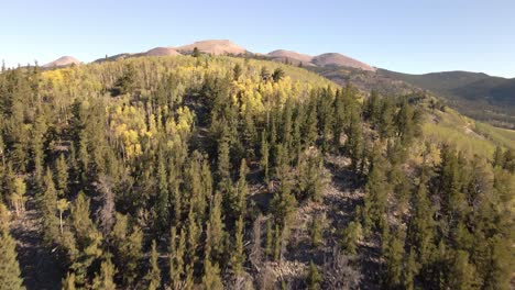 aerial view flying up a hill covered with