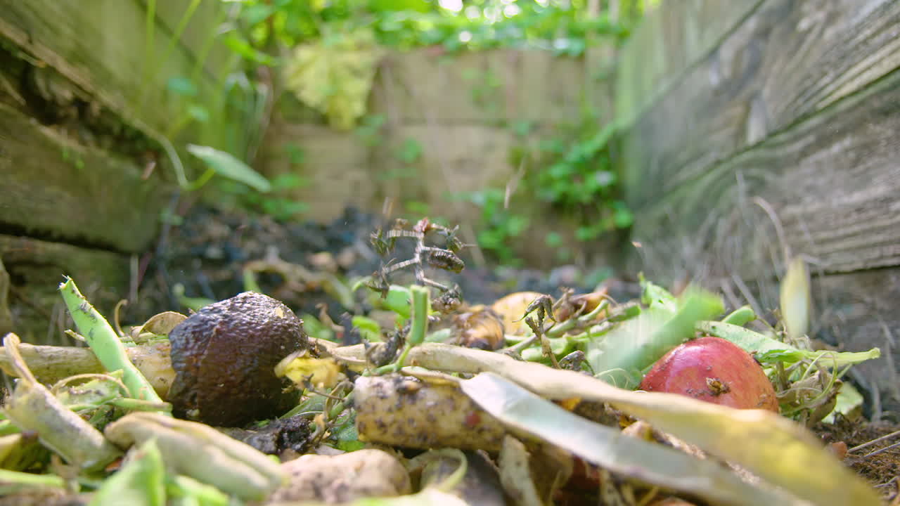 퇴비 더미에 음식 추가하기