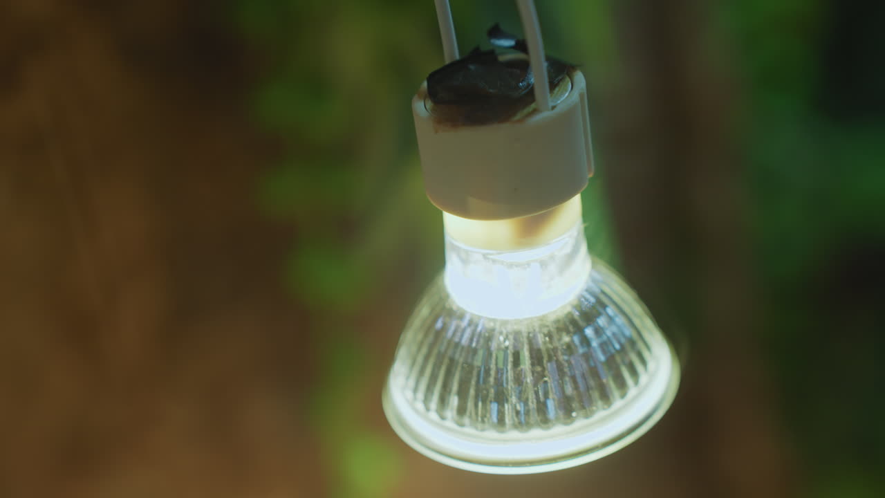 Close up of hanging bulb glowing brightly in indoor environment, highlighting clear glass texture and radiating light in soft focus background with green and brown tones for warm ambiance effect