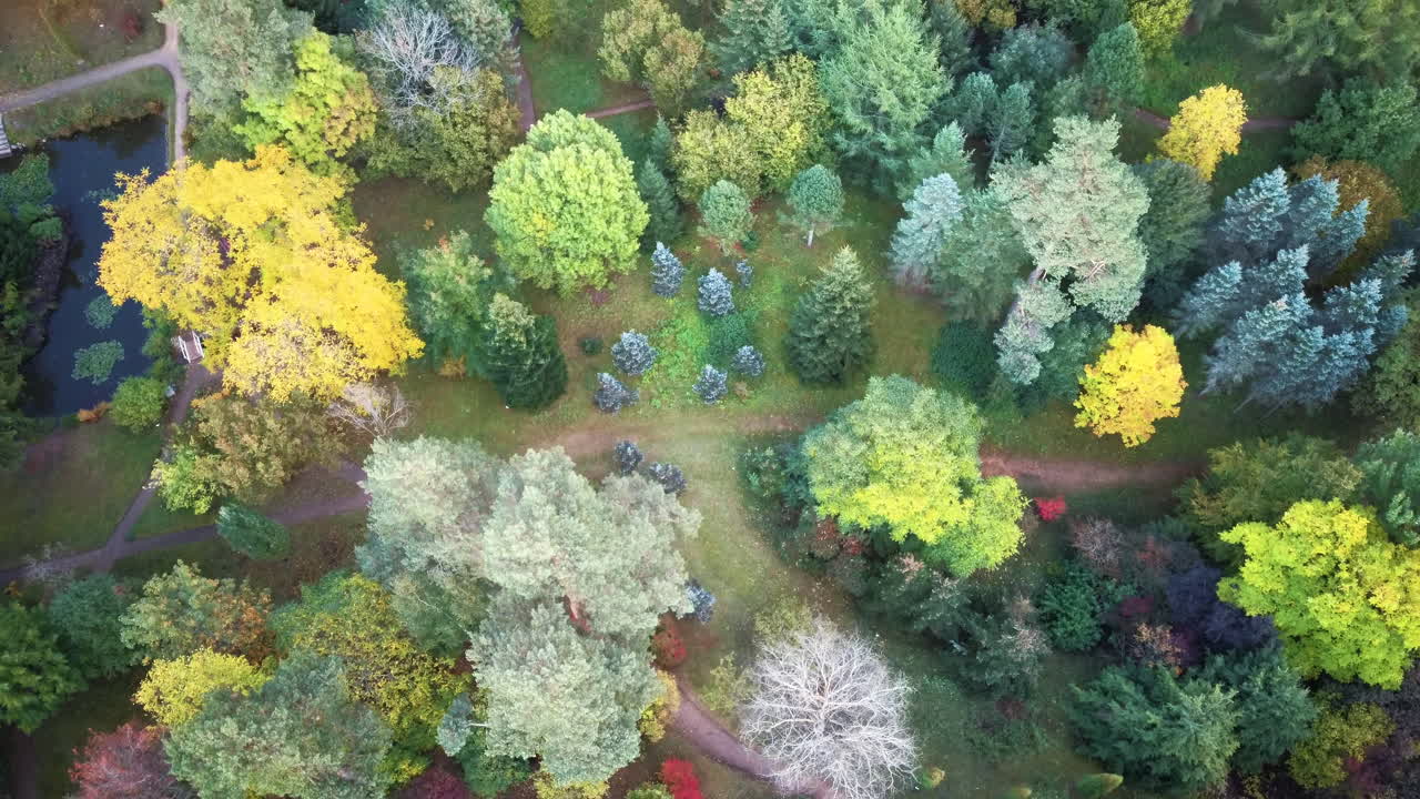vuelo de drones sobre el parque dendrológico lazdukalni en ogre, letonia