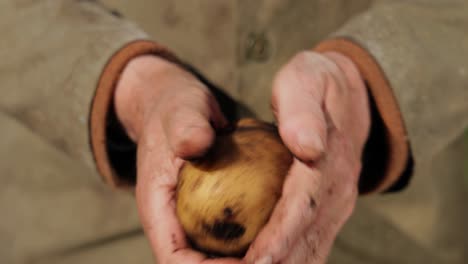 Farmer-inspects-his-crop-of-potatoes-hands-stained-with-earth.