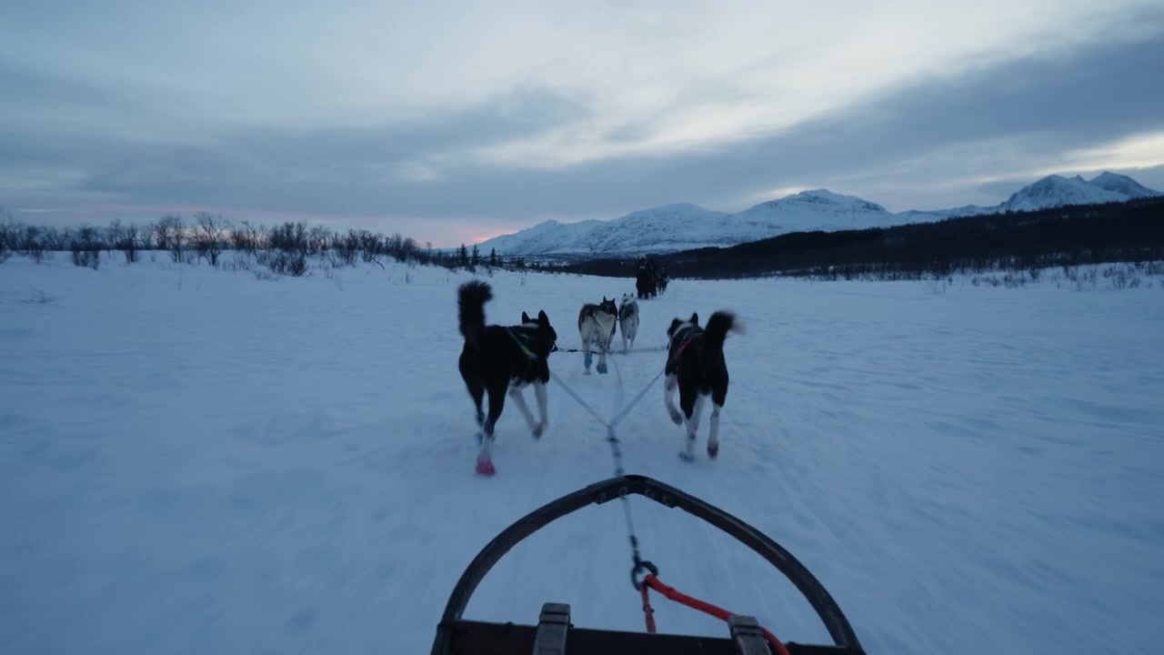 Ponto de vista seguindo uma equipe de cães de trenó através de um vale ártico aberto na Noruega nevada