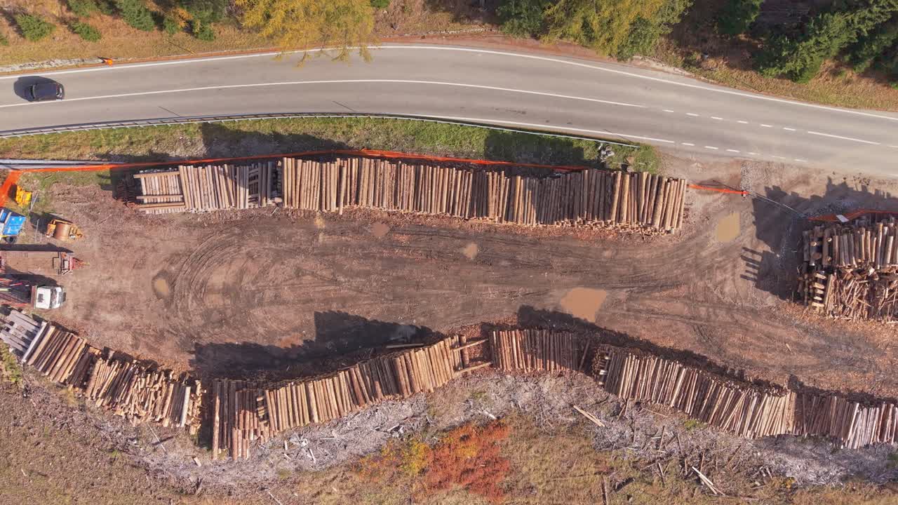 Neatly stacked logs seen from above in forest, Northern Italy