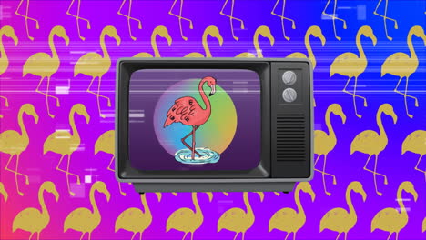 old tv post showing a pink flamingo surrounded by tv sizzling strip