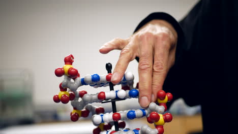 a college science biology professor teaching students about the human genome with a dna double helix model in his classroom