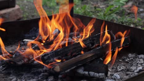 close up of wood cooking fire burning down to coals, embers