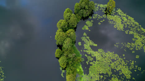 Aerial dolly forward and and tilt down over a small green tree island set in calm river waters as bird fly in to perch for the coming evening