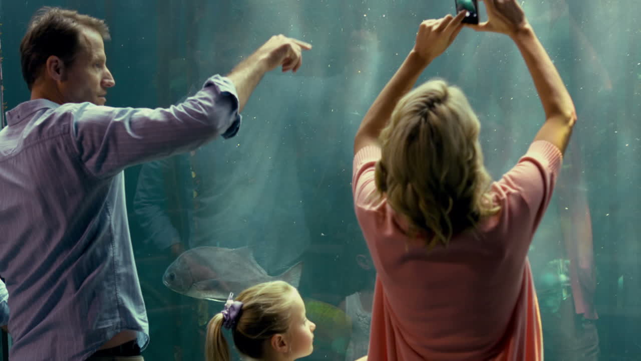 수족관 에 있는 물고기 들 을 가리키는 가족