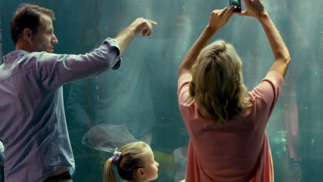 family pointing at fish in the aquarium