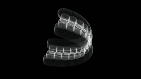 hologram screen 3d of complete human teeth - loop