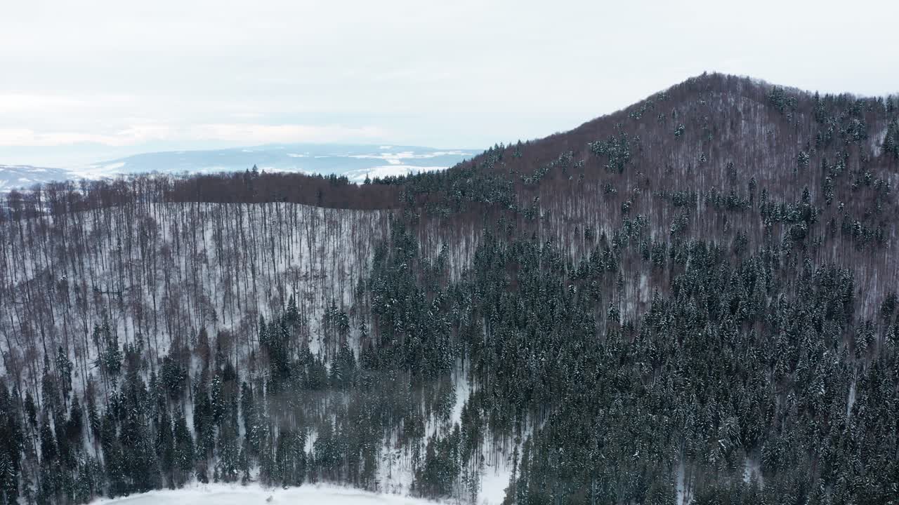 공중 크레인 공개 샷, 숲이 우거진 능선 뒤의 탁 트인 눈 덮인 겨울 풍경, 흐린 날
